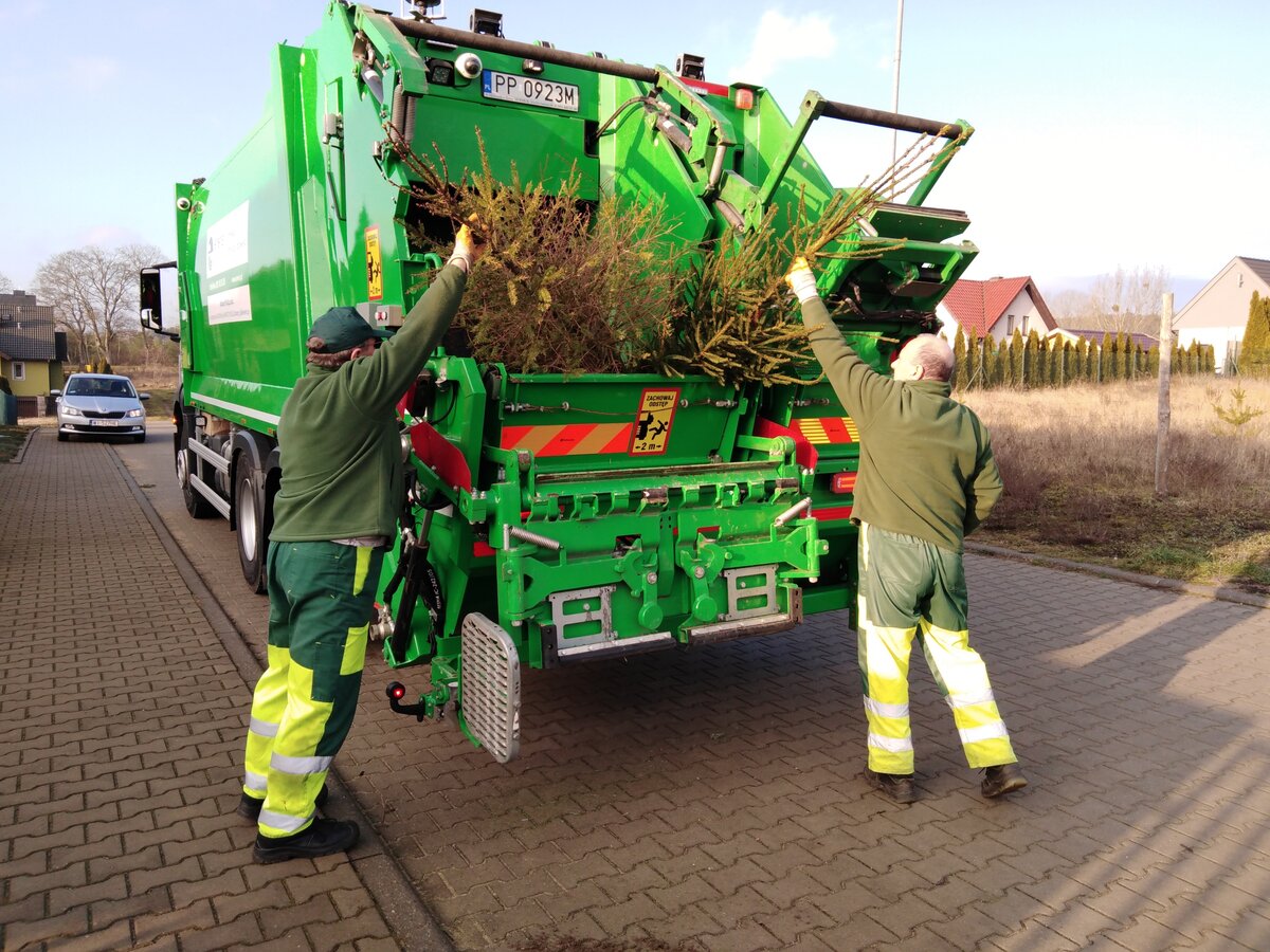Co zrobić z choinką po świętach