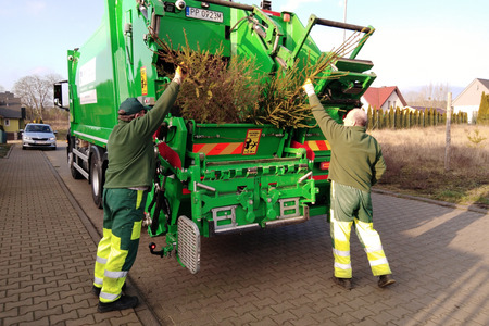 Co zrobić z choinką po świętach