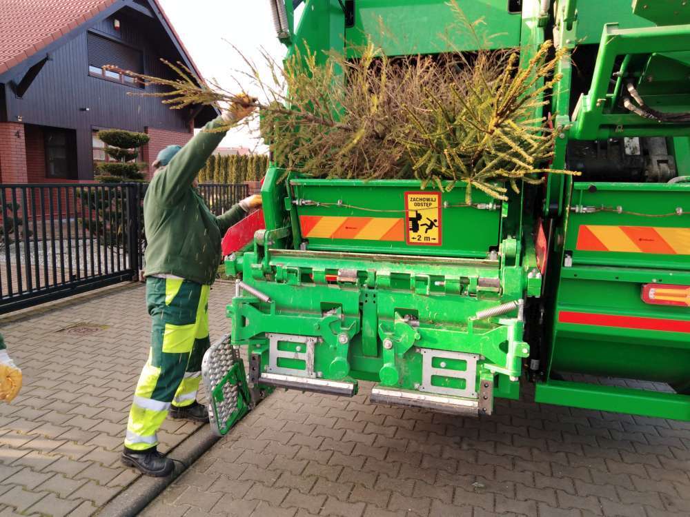 Harmonogram odbioru choinek