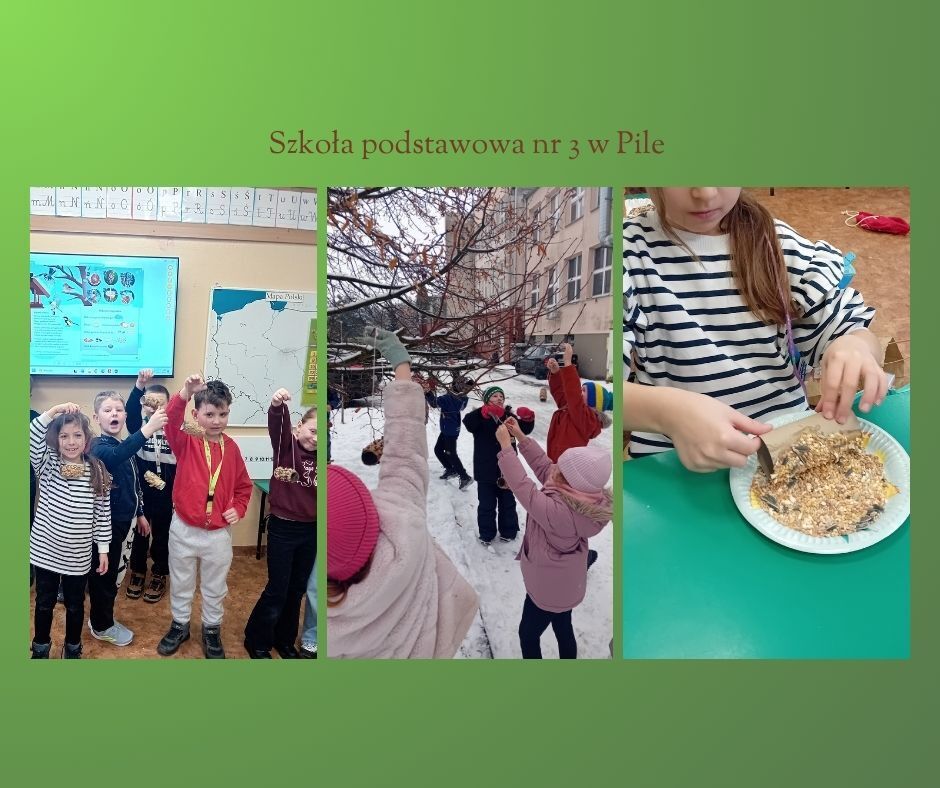 Klasy Patronackie ZM 